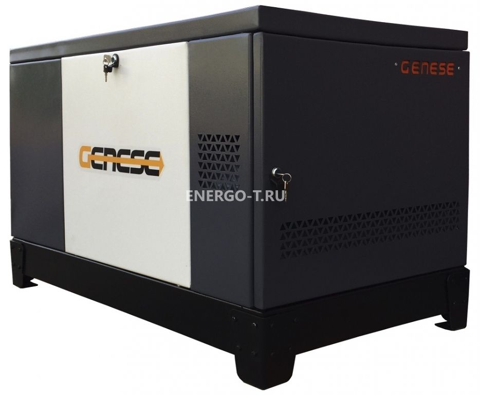 Газовый генератор  Pro 12000 Neva в кожухе
