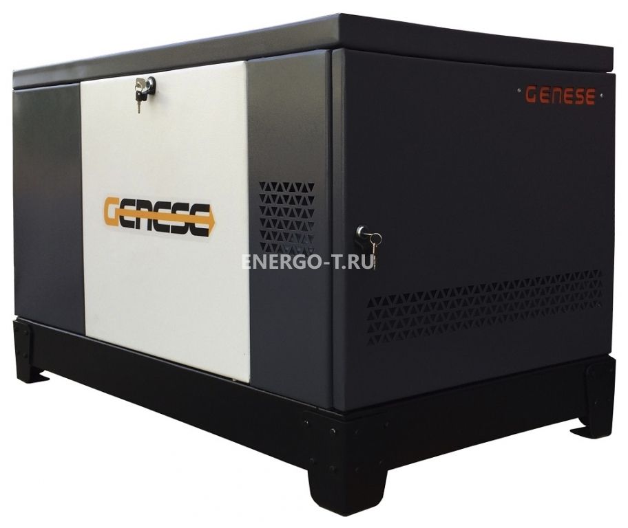Газовый генератор  Pro 17000 T Neva в кожухе