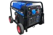 Бензиновый генератор ТСС PROF GGW 6.0/200E (MMA/TIG/Cellulose)