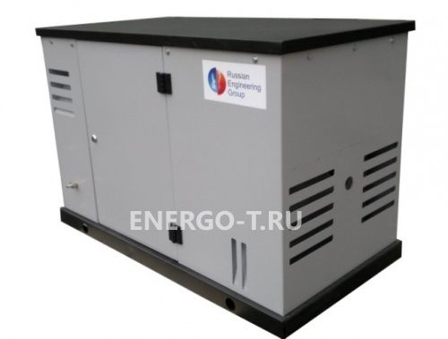 Газовый генератор REG ARCTIC HG10-230S (10,0 кВт)